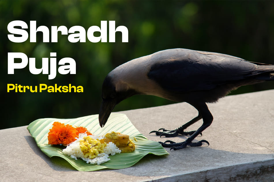 Shradh Puja: Complete Guide to Rituals, Beliefs, and Traditions